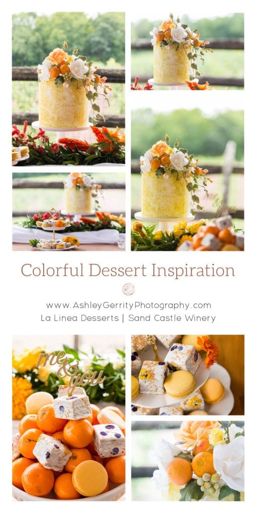 Sand Castle Winery A Modern Cake & Punch Reception Editorial