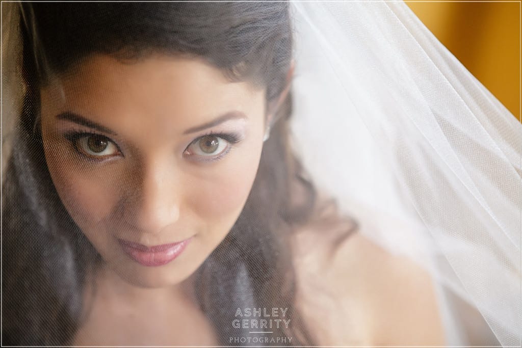 Bridal Portraits photographed through the wedding veil adds a dreamy quality to the image.