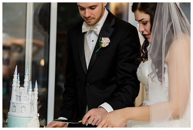 Sabrina and Kyle cut their fairy tale topped cake. 
