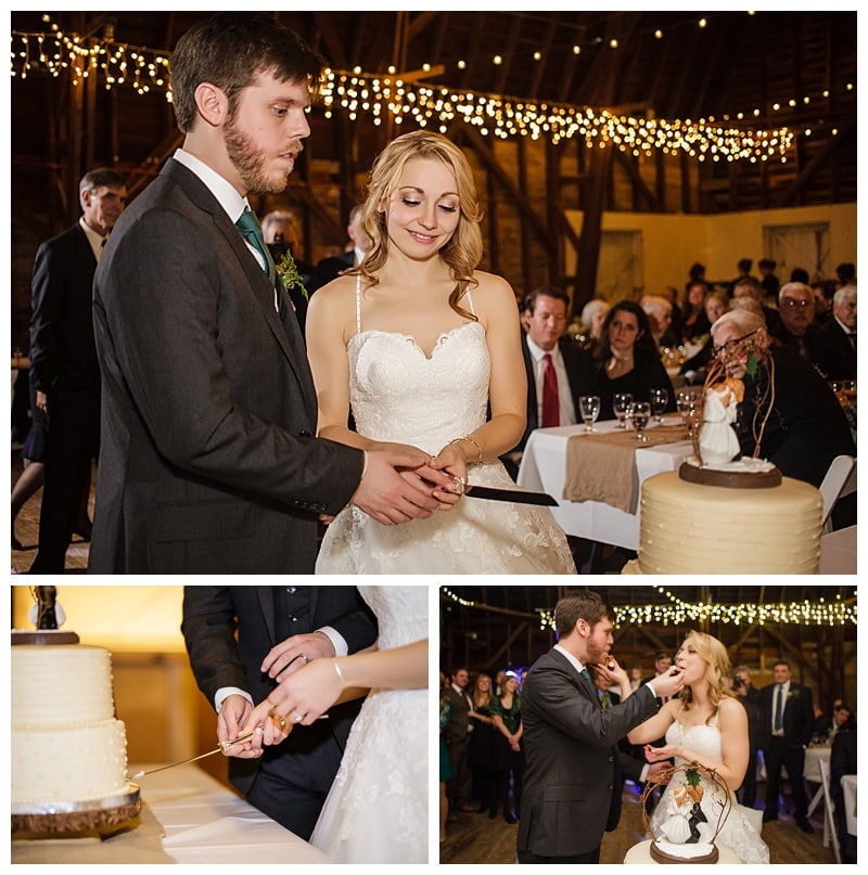 A vegan cake was the perfect feather in this vegan reception's cap. 