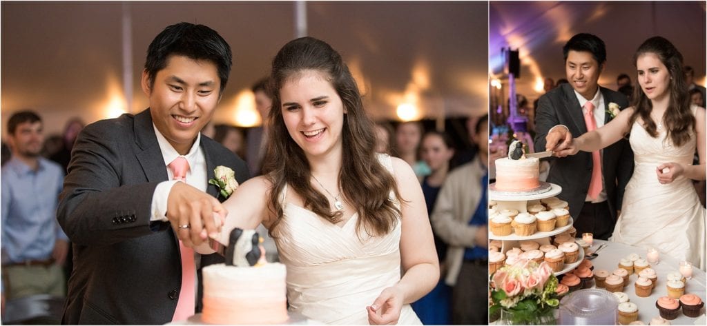 cake cutting of small cake and cupcakes - PA wedding