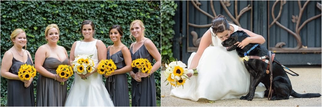 gorgeous grey and yellow wedding colors and love the dog in bridal photos 