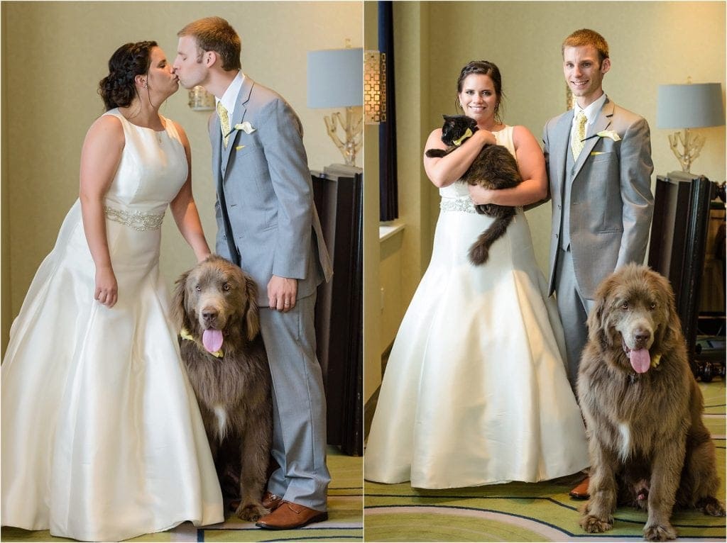 Hotel Palomar is a pet friendly hotel so bride and groom took photos with their pets in the room on wedding ay 