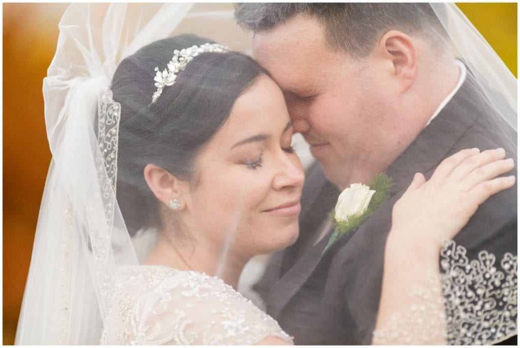 Bride and groom under a veil Portrait at Ashbridge Memorial Park, romantic bride and groom veil photo 