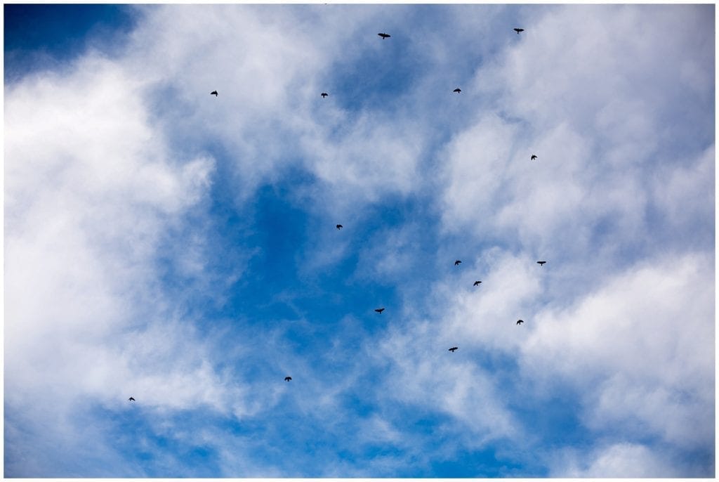 pretty sky photos for this fall rustic wedding 