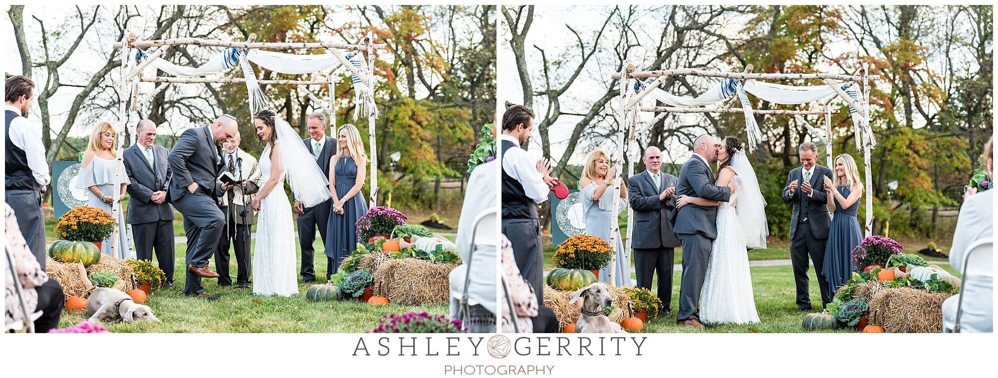 breaking the glass after the first kiss in an outdoor autumn jewish wedding ceremony in Chester Springs, PA