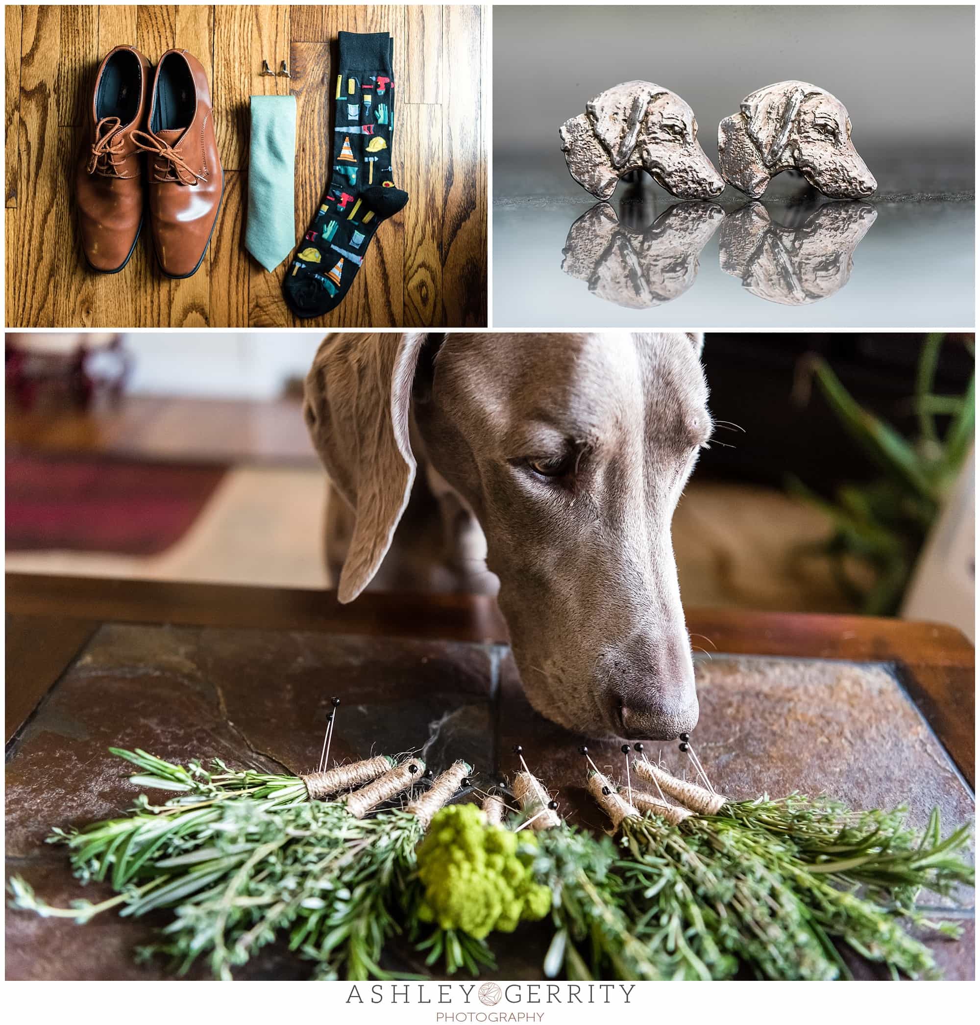 Groom's details styled in a lay flat, silver dog cufflinks, Jerry, the ringbearer dog sniffs the groomsmen's fresh herb boutonnieres 
