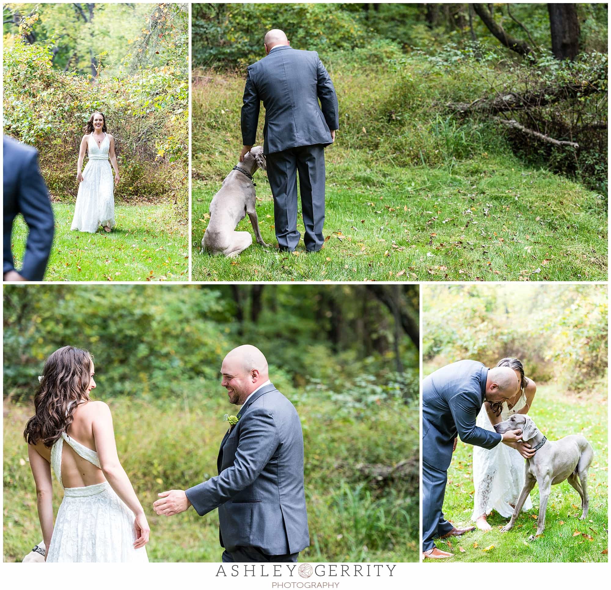 Bride & Groom's first look in their backyard includes a first look for their dog, ring bearer, Jerry.