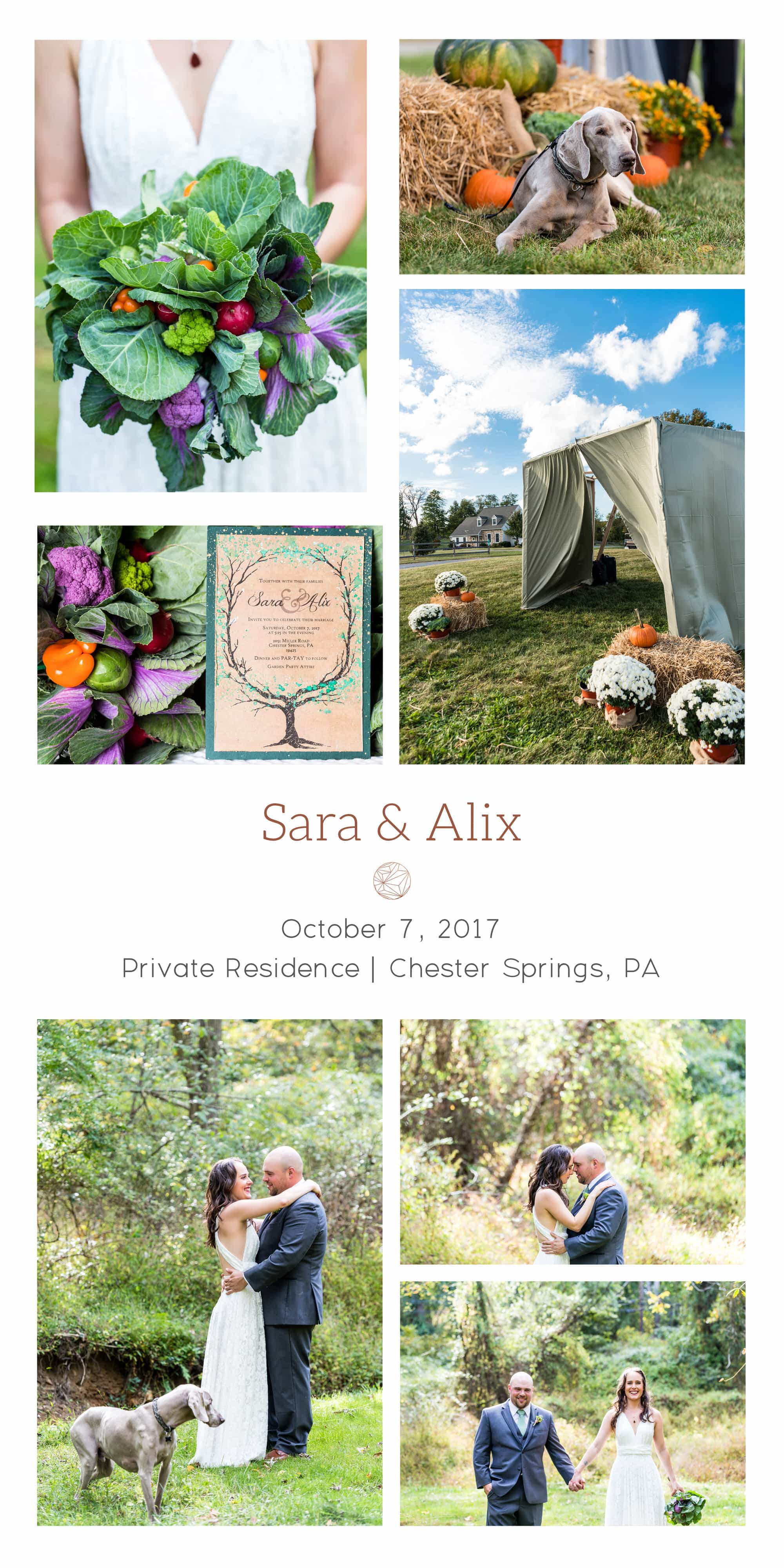 Collage of wedding details from this October Chester Springs wedding, including tree of life invitation, vegetable bouquet, and jewish wedding ceremony decorations with pumpkins and mums.