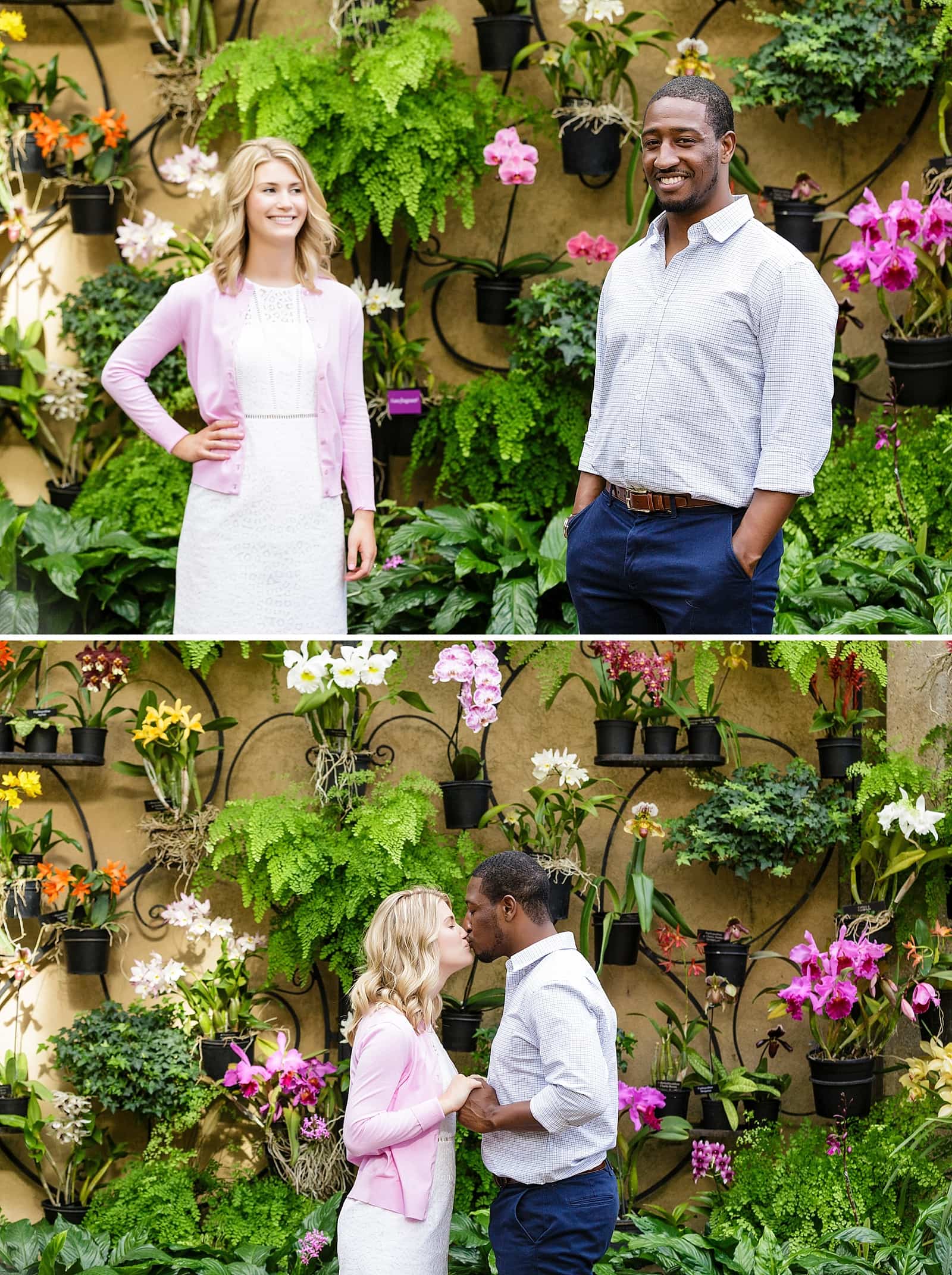 Longwood Gardens engagement session, hanging wall flowers, flower wall, couple kissing