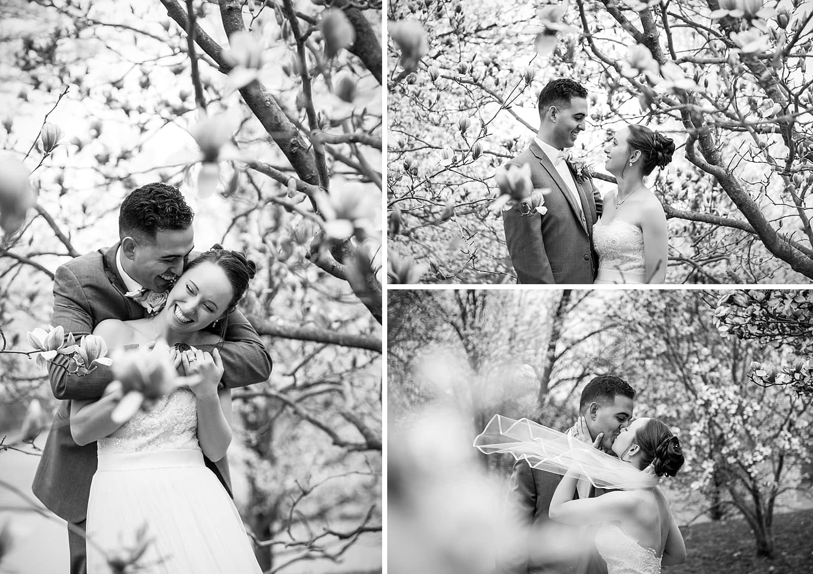 Black and white bride and groom portraits, shot through the flowers, bride and groom kissing, The Manor House at Commonwealth wedding