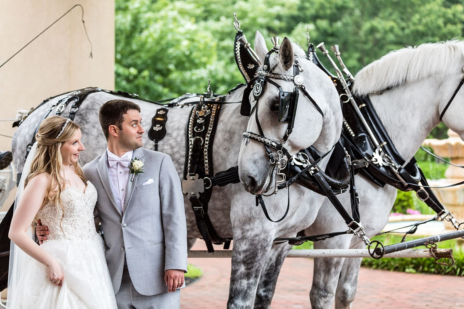 Fairytale wedding, bride and groom portrait, horses, horse drawn carriage