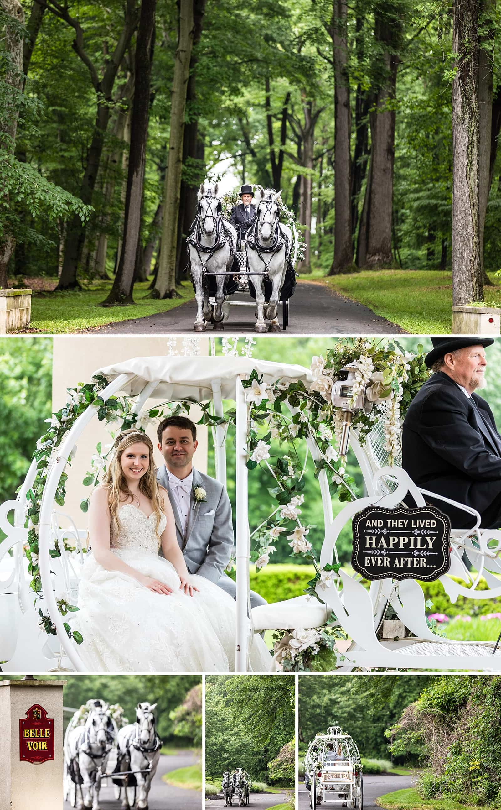 Horse drawn carriage, fairytale wedding, happily ever after, wedding portraits, bride and groom portraits