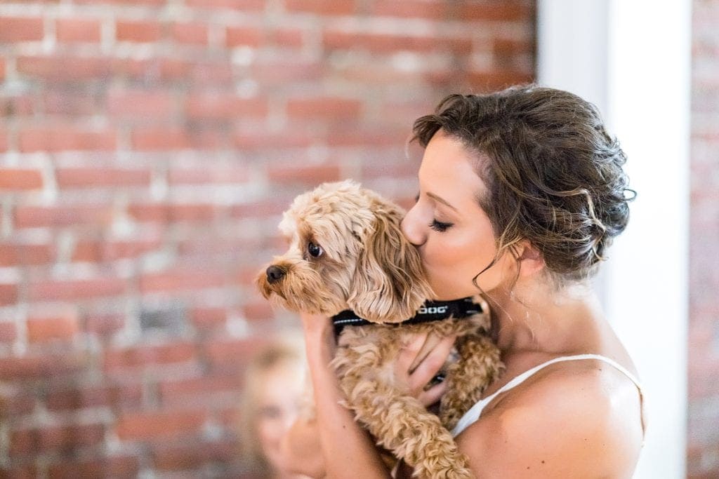 bride, bridal prep, bride with pet dog, dog in wedding