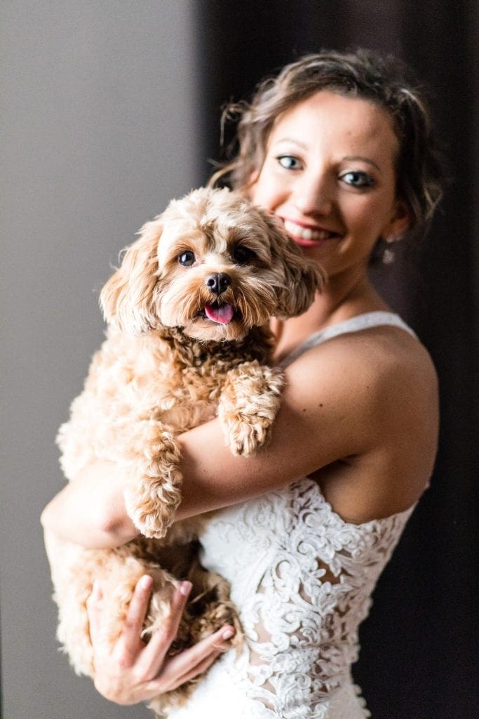 Bride, brides dog, bride and dog