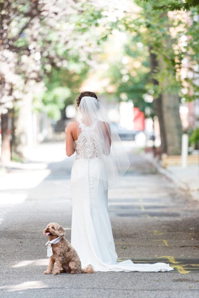 Bride stands back to back with her dog for a first look on Addison St in Philadelphia