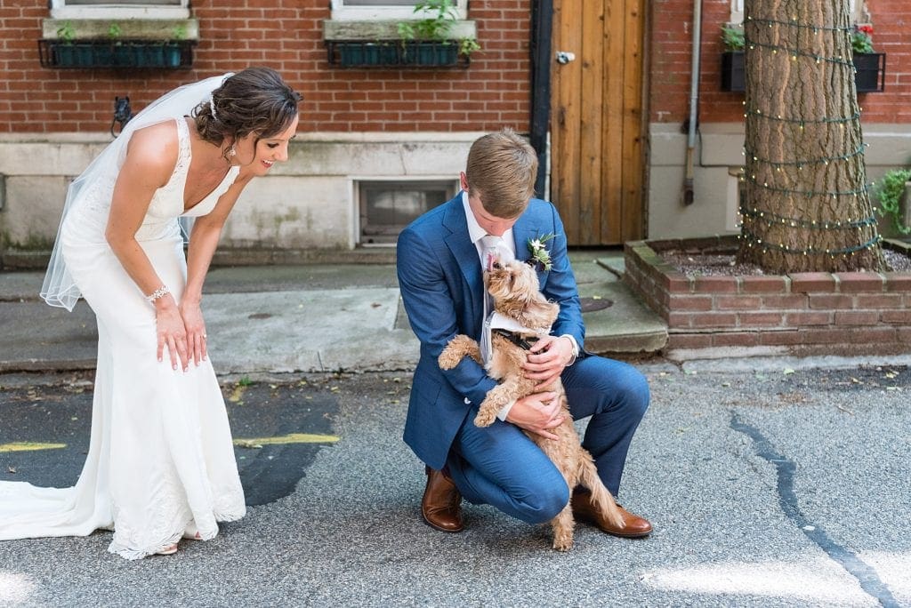 Dog in a bowtie kisses the groom on his wedding day