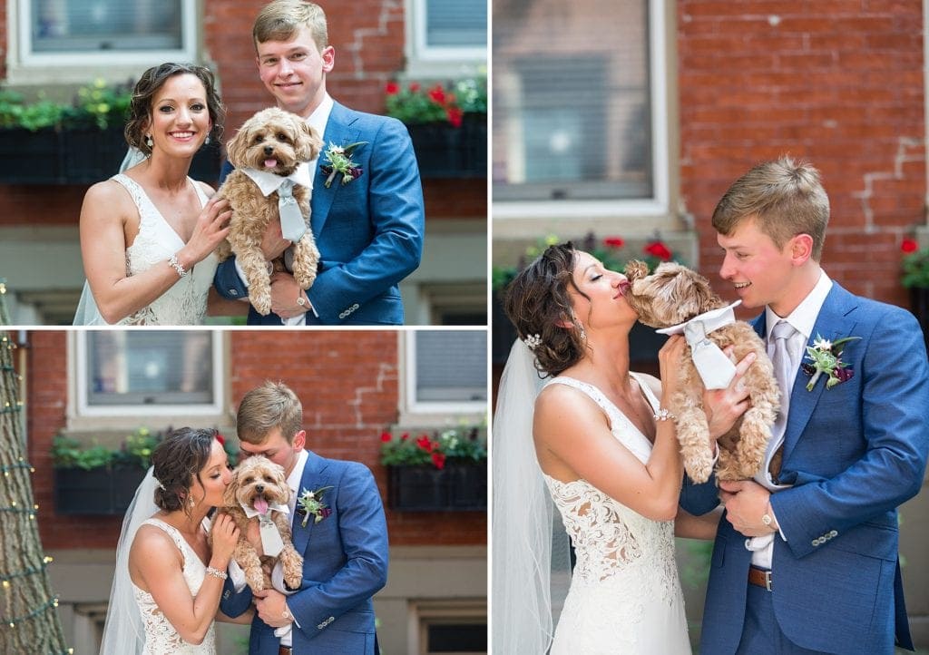 Bride, groom, & best dog in a bow tie pose together for wedding photos