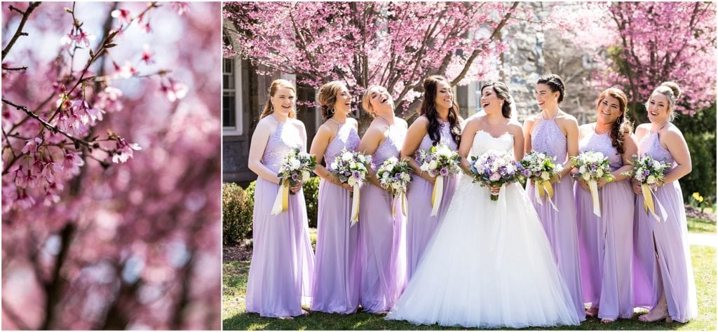 Bride in Pronovias dress and Bridesmaids in Davids Bridal | Ashley Gerrity Photography