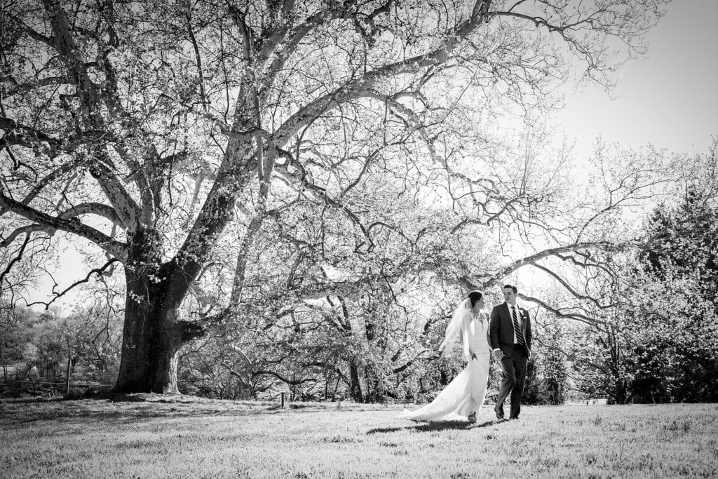 Black and white portrait of bride and groom at Brandywine Battlefield | Ashley Gerrity Photography www.ashleygerrityphotography.com