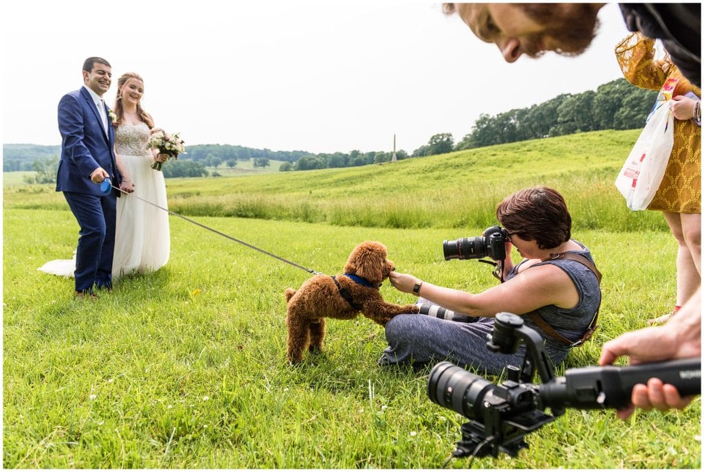 behind the scenes look at photographer shooting puppy with bride and groom