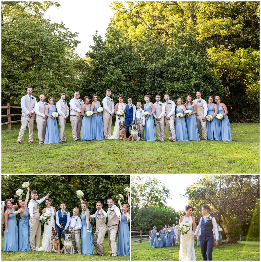 LGBT wedding party with brides' dogs