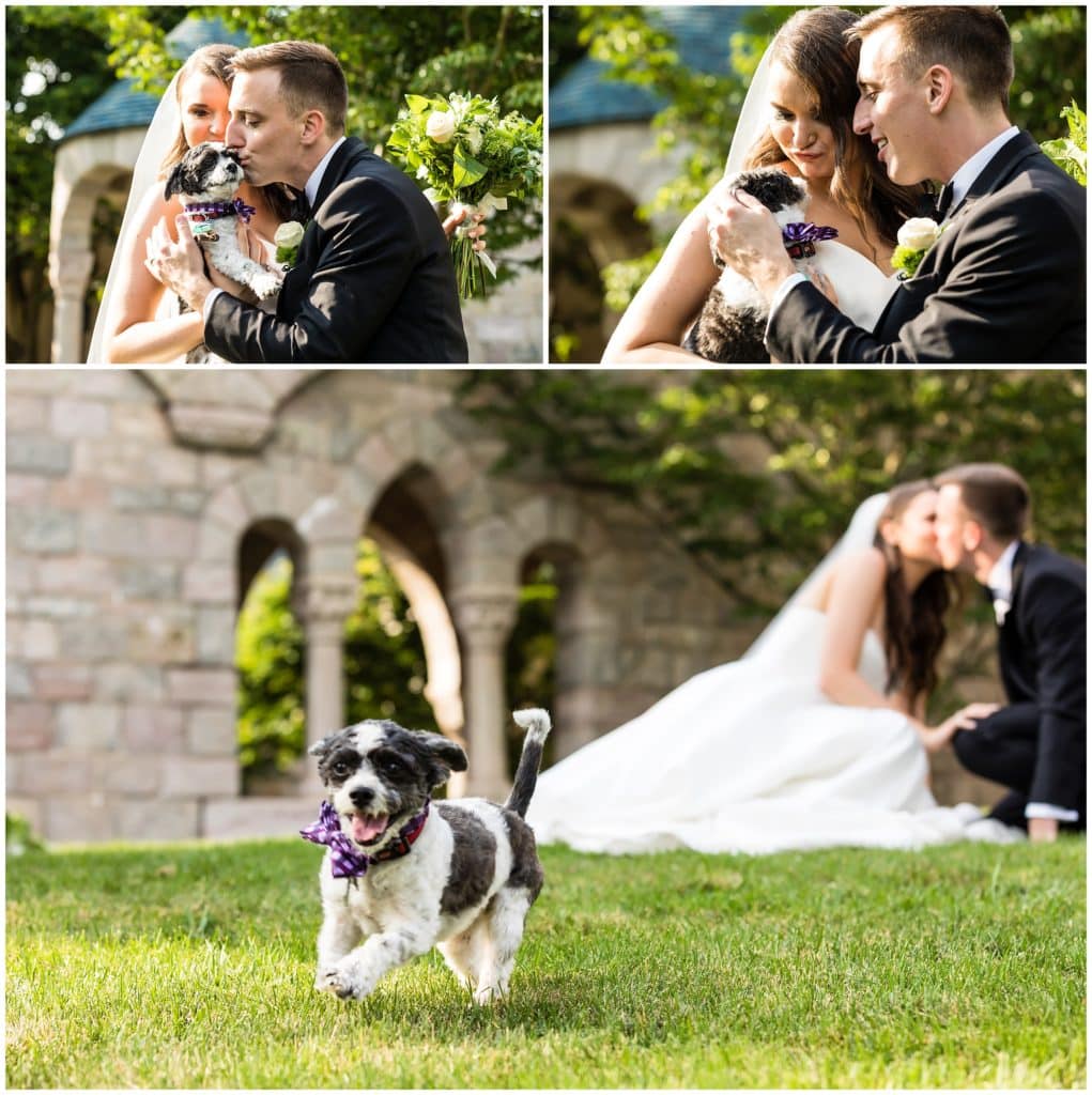 Wedding portraits with their puppy running around