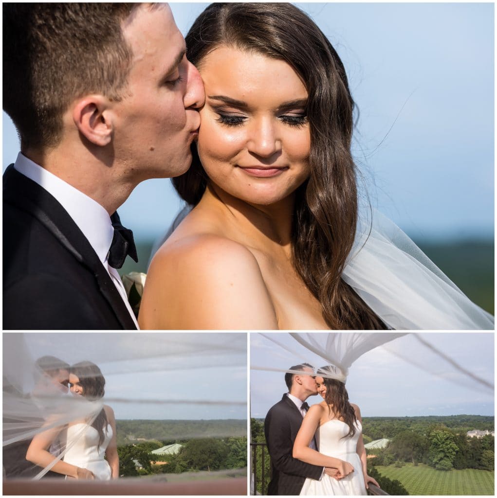 Intimate wedding portraits with groom kissing bride on cheek with the veil blowing in the wind