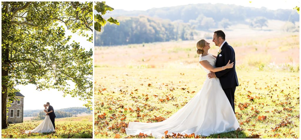 Bride and groom under tree in open field at Valley Forge National Park