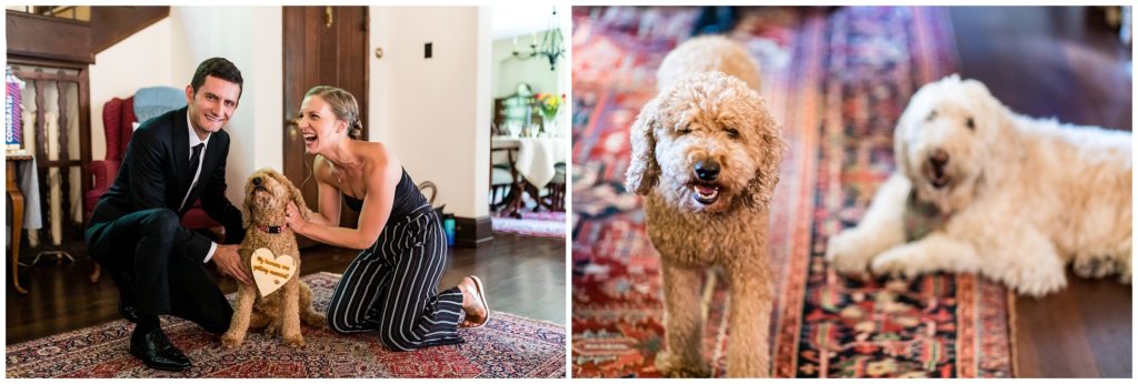 Bride and groom laughing and getting ready before wedding with their dogs 