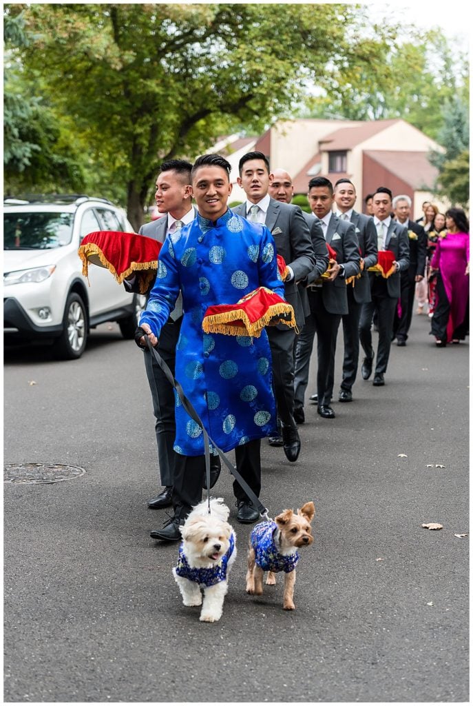 Groom and groomsmen walking into traditional Vietnamese Tea Ceremony wedding with his two puppies in matching shirts