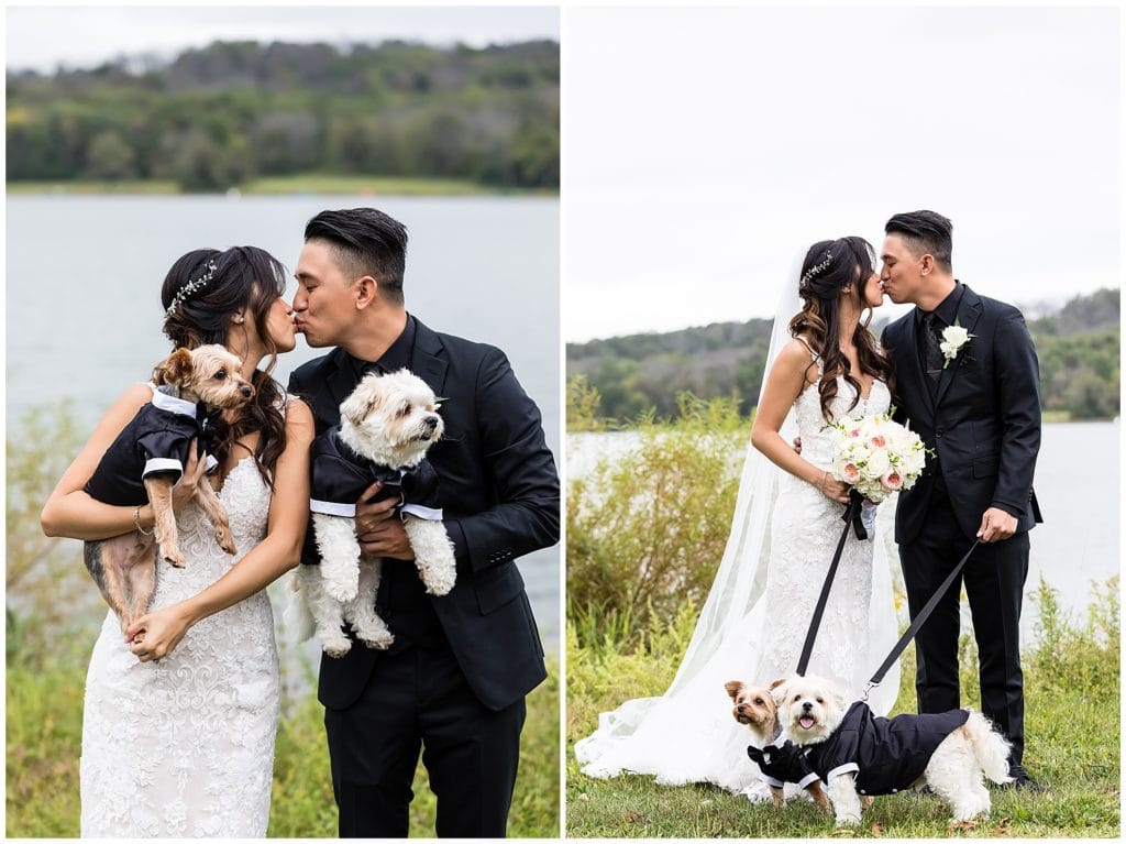 Bride and groom outdoor wedding portrait kissing with their dogs in tuxedos
