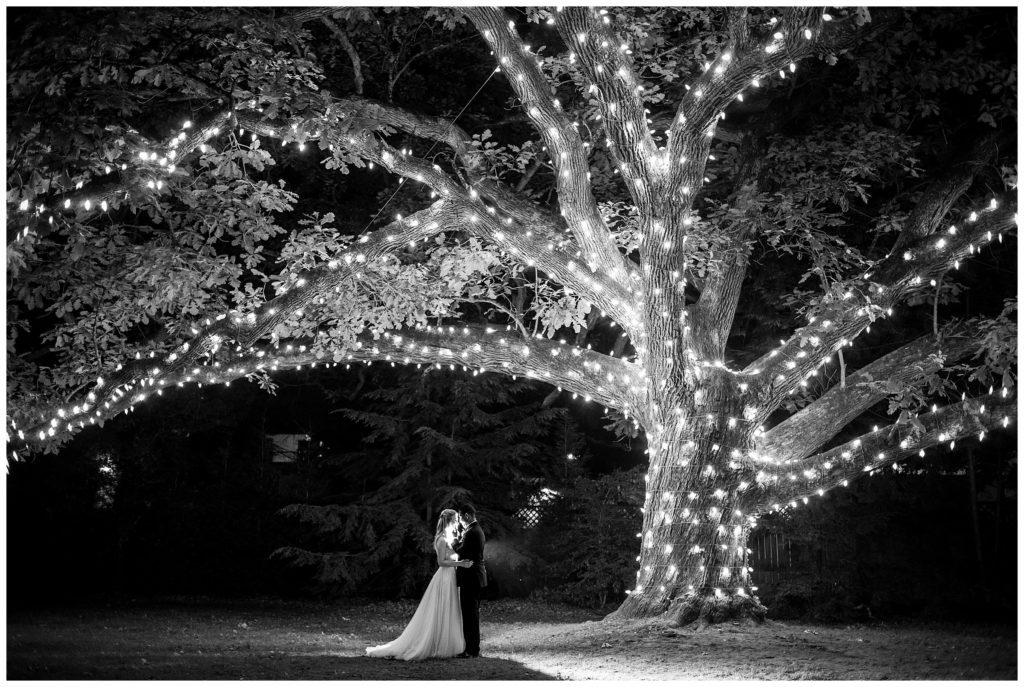 Black and white bride and groom backlit wedding portrait under light lined tree at Aldie Mansion wedding reception