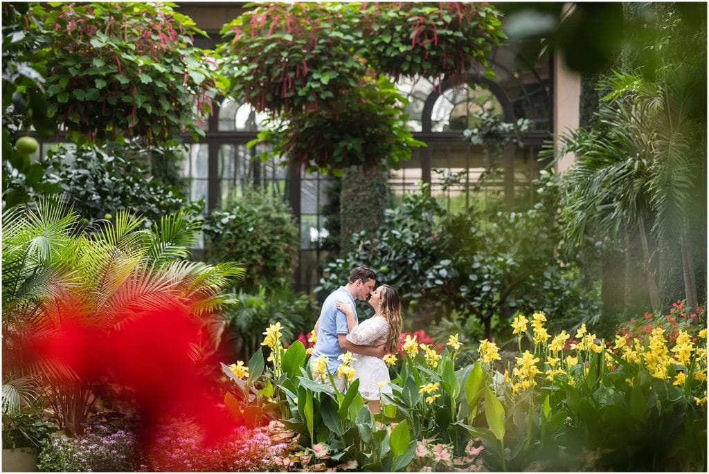Couple kissing shot through flowers in greenhouse at Longwood Gardens engagement session