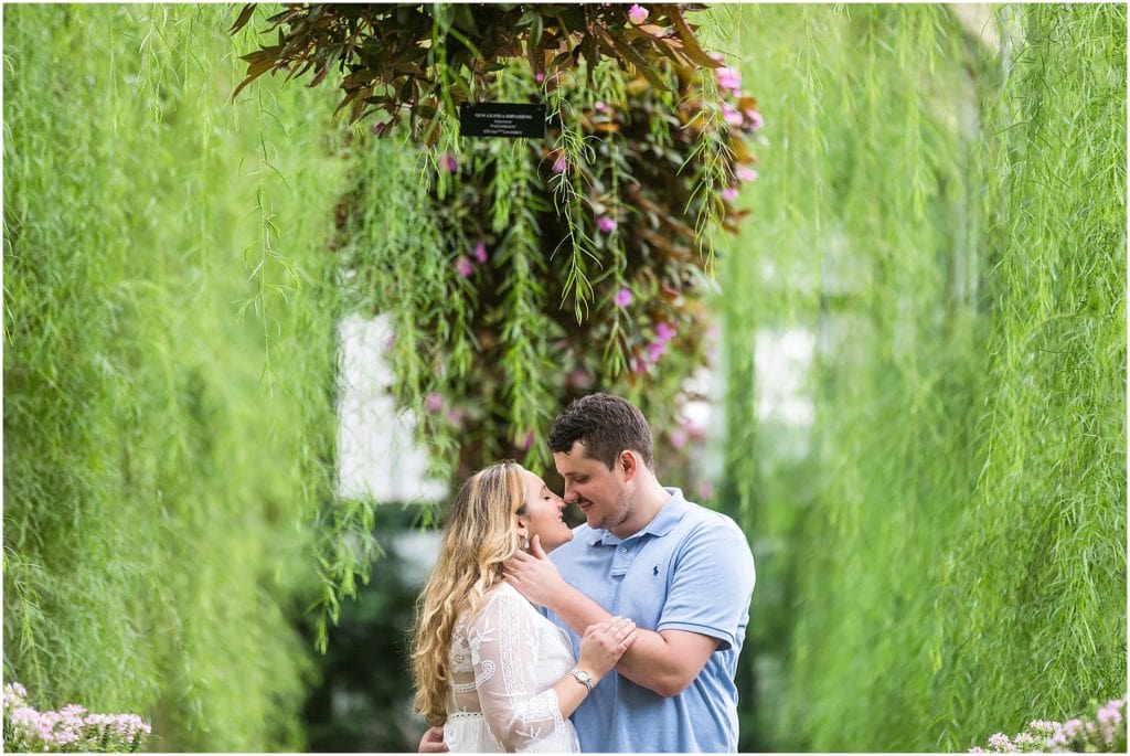 Couple kissing under greenery walkway in Longwood Gardens greenhouse engagement session