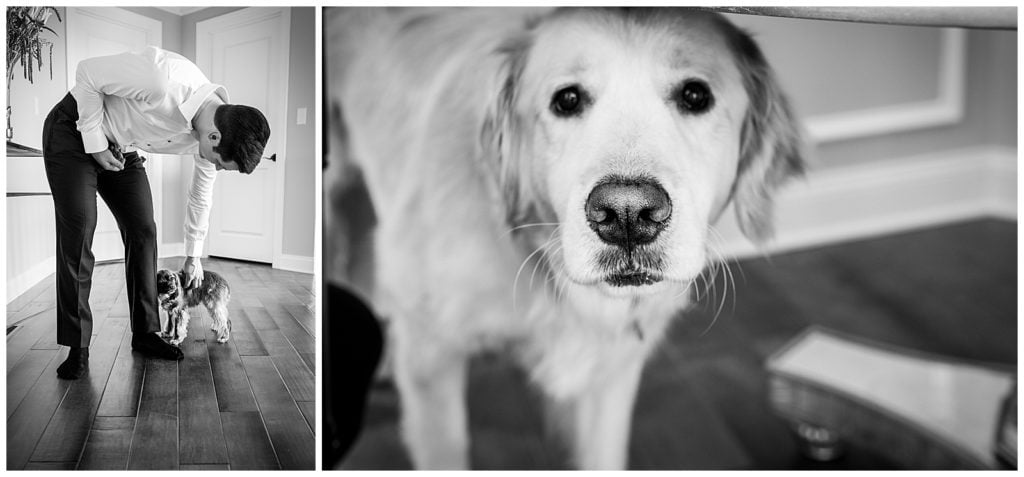 Black and white collage of groom getting ready and petting his dogs