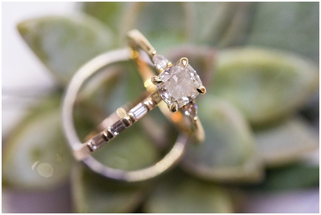 Gold wedding band and engagement ring closeup on succulent