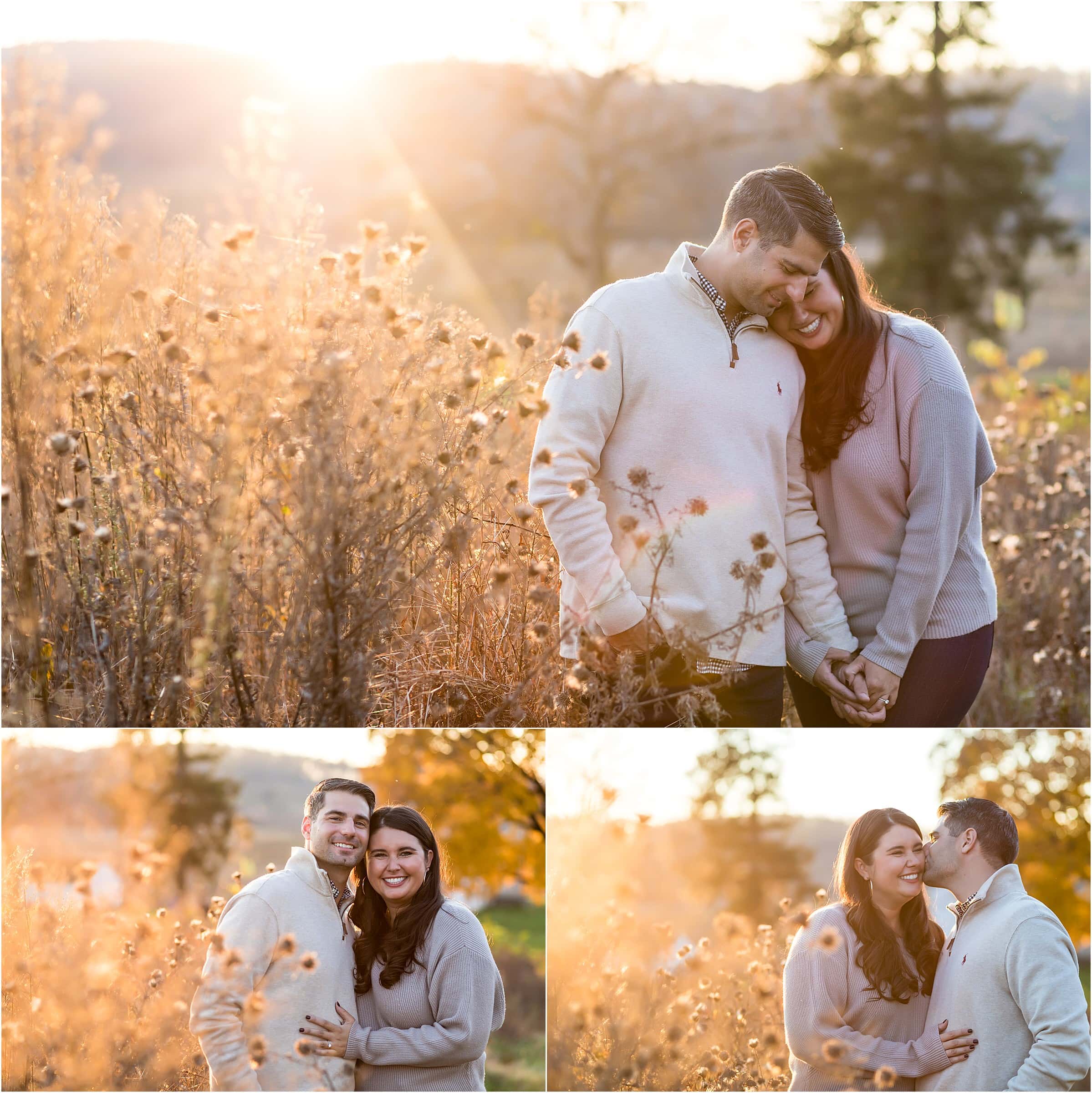 Sunset engagement session portrait collage in tall brush field at Valley Forge Park
