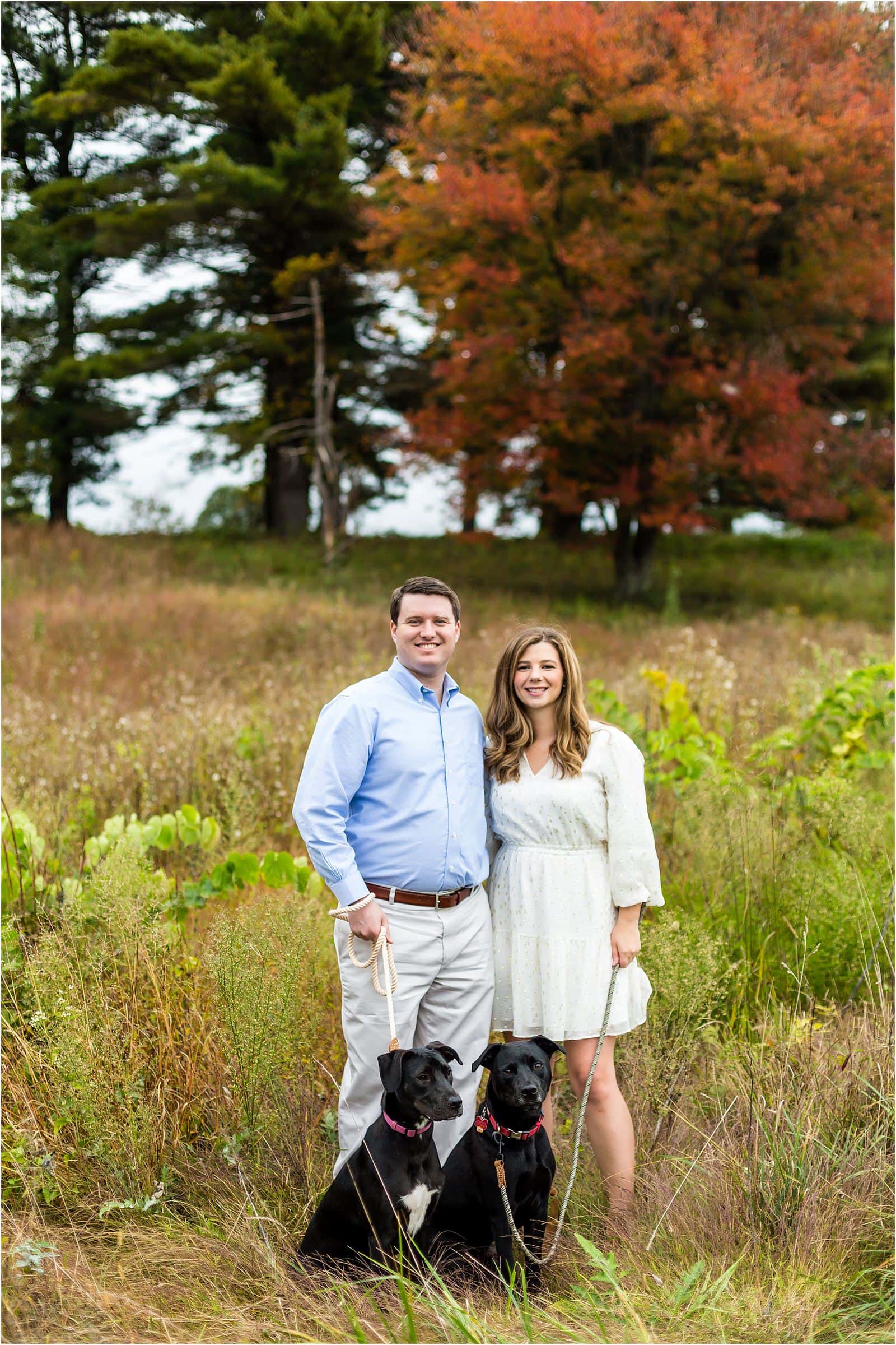 Couple standing with their two dogs sitting in front of them in Valley Forge Park engagement session