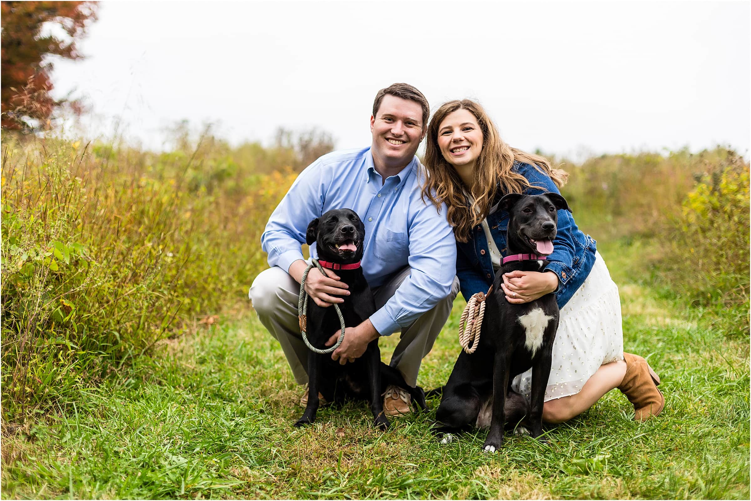 Engaged couple holds their two dogs at Valley Forge Park engagement session