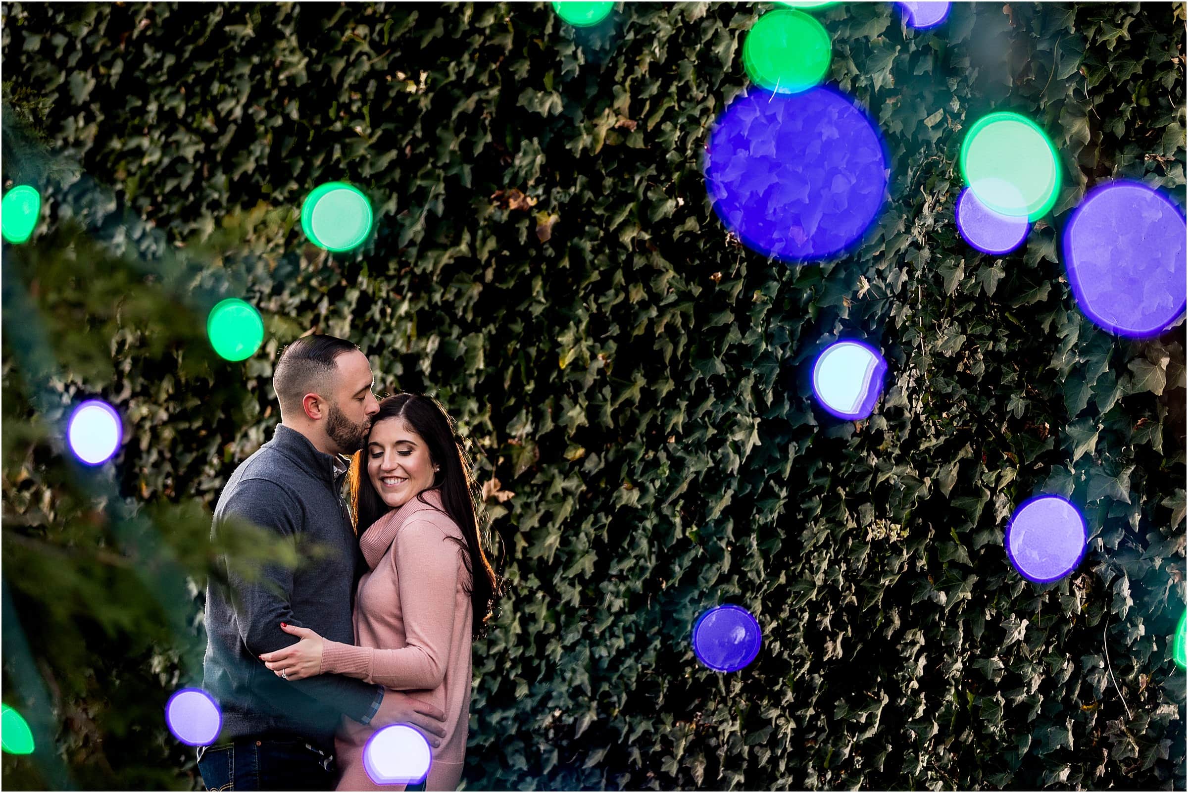 Man kissing fiancée on forehead in front of ivy wall with blurred Christmas lights at Longwood Gardens holiday engagement session