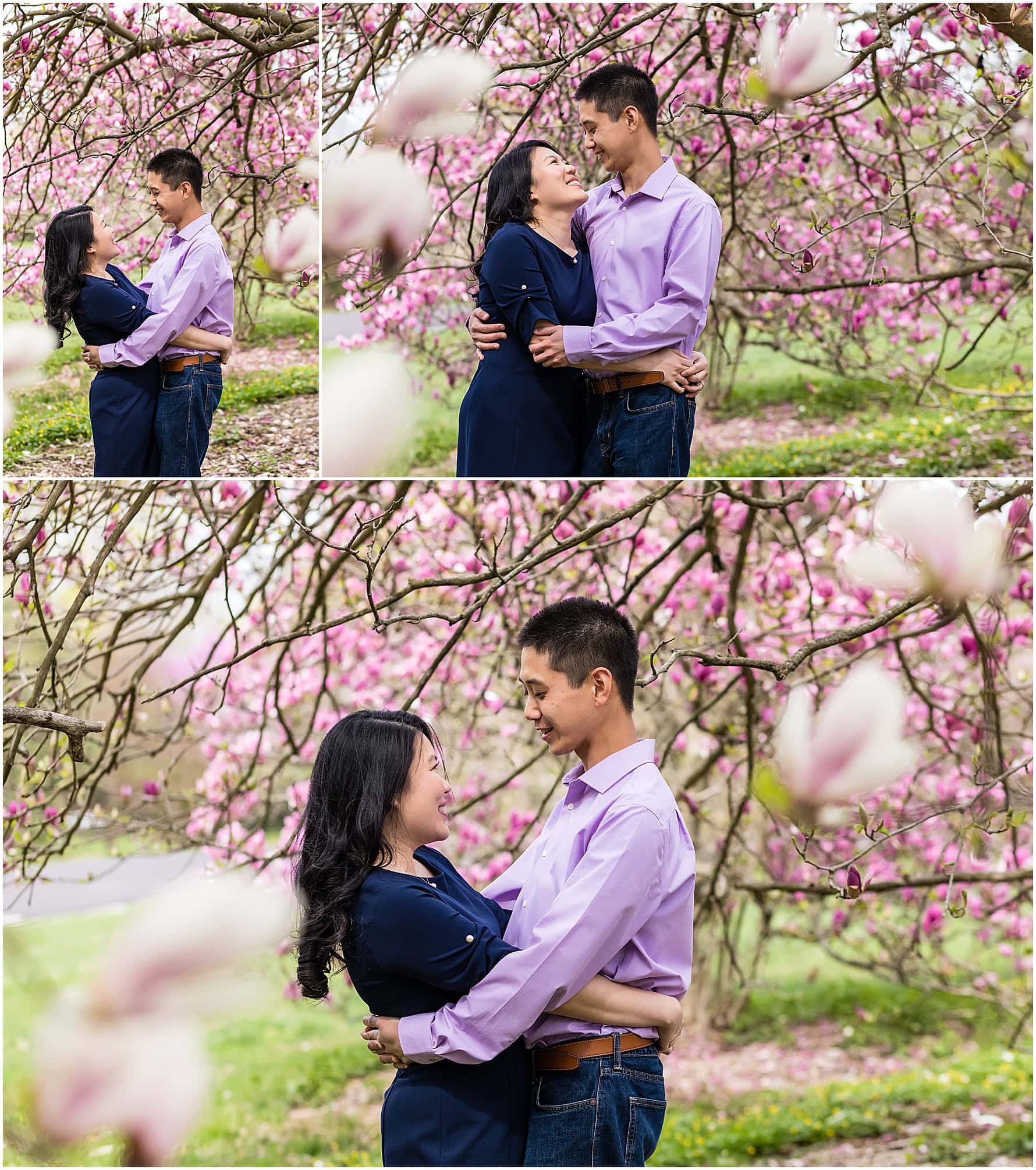 Spring engagement session portrait collage of bride and groom hugging and laughing under blooming Magnolia trees