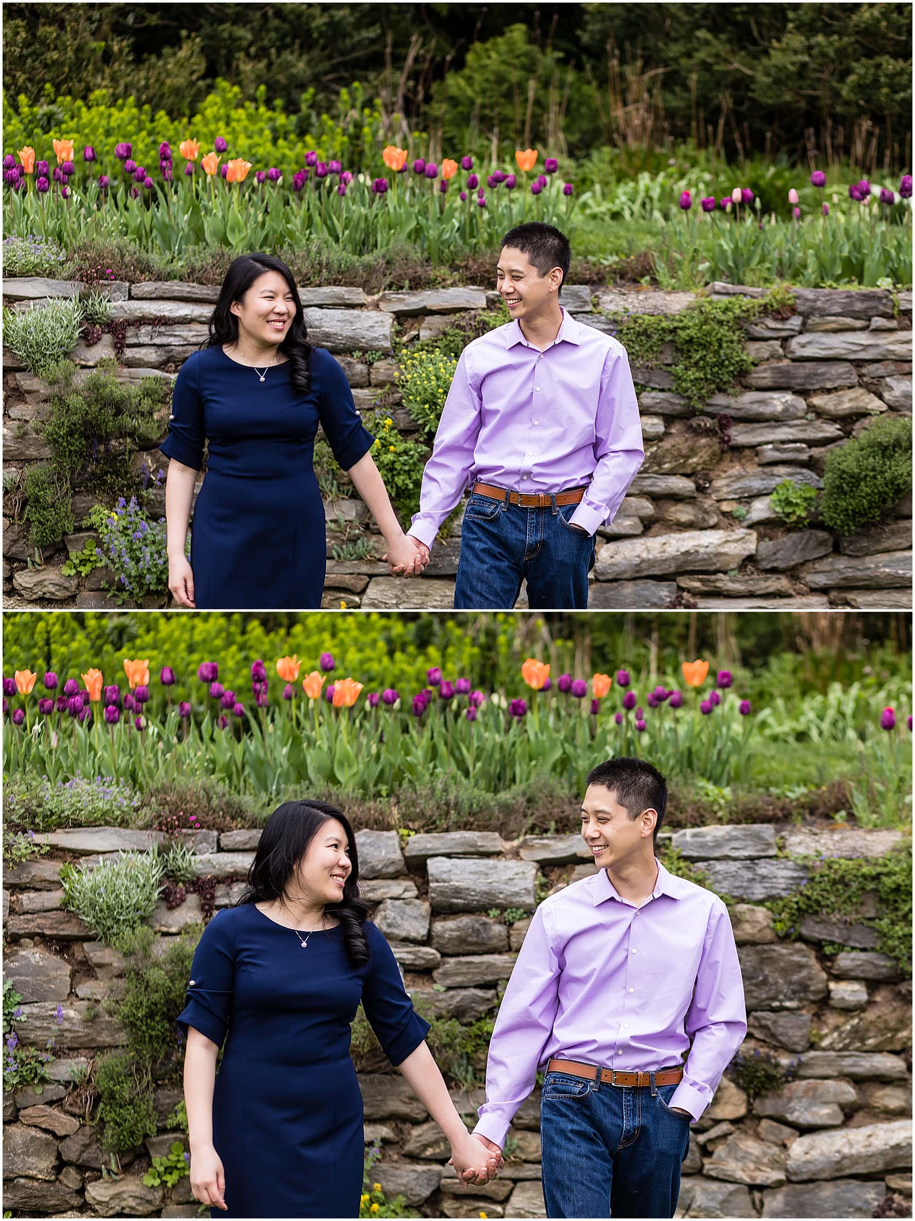 Morris Arboretum Spring engagement session portrait collage of couple holding hands and walking in front of wall of tulips