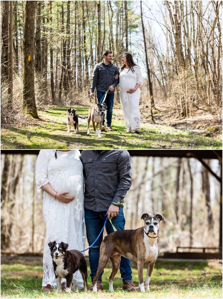 Pocono Mountain maternity session collage of husband and wife walking two dogs through the woods