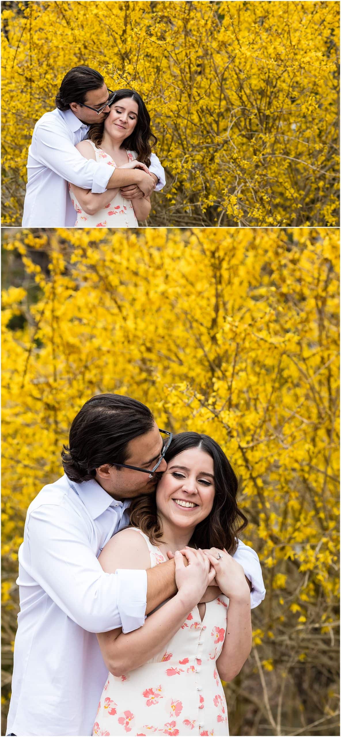 Pocono Mountains engagement session collage of groom kissing brides check and whispering in her ear in front of blooming yellow bushes