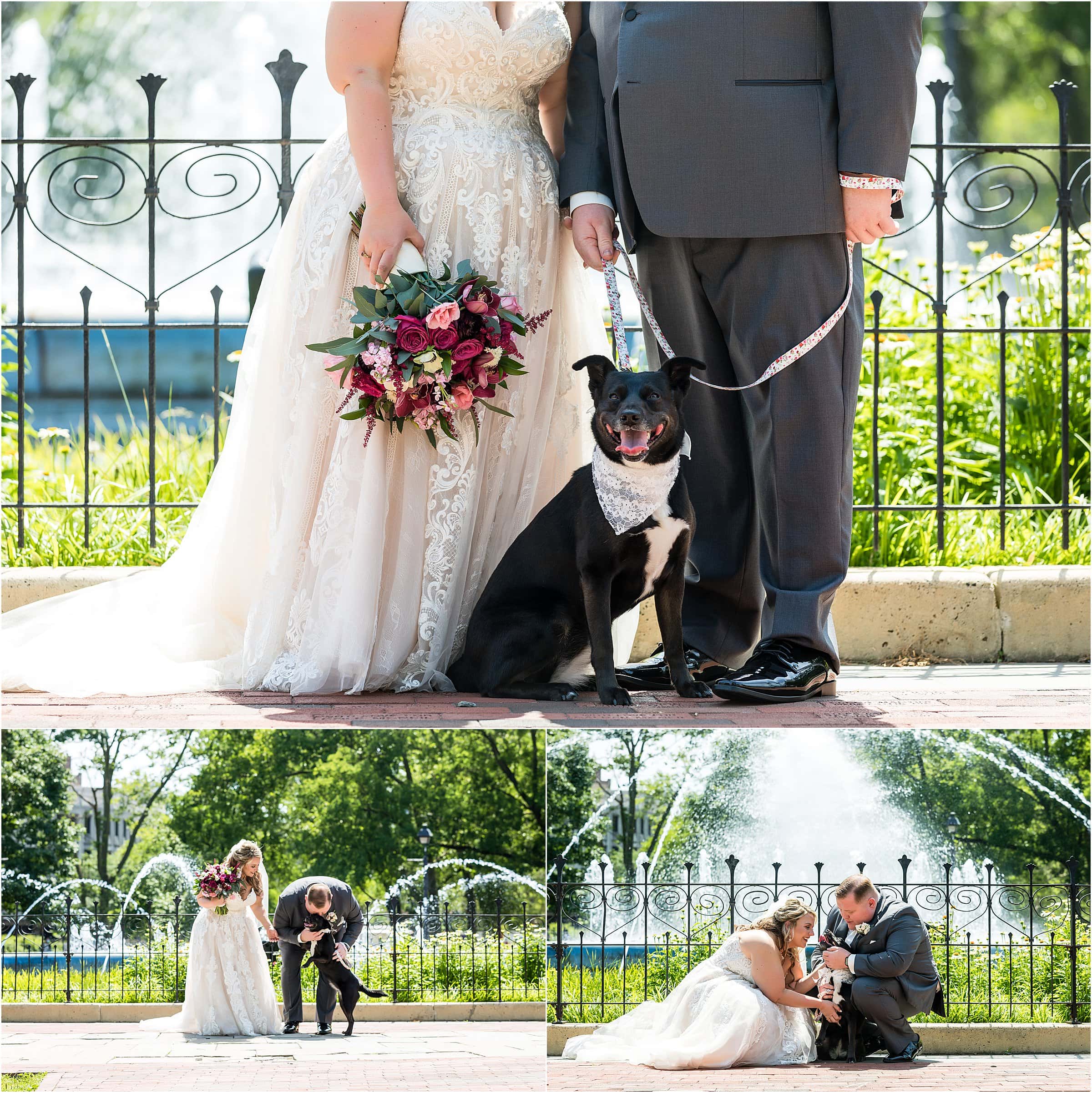 Collage of bride and groom with their dog in front of fountain