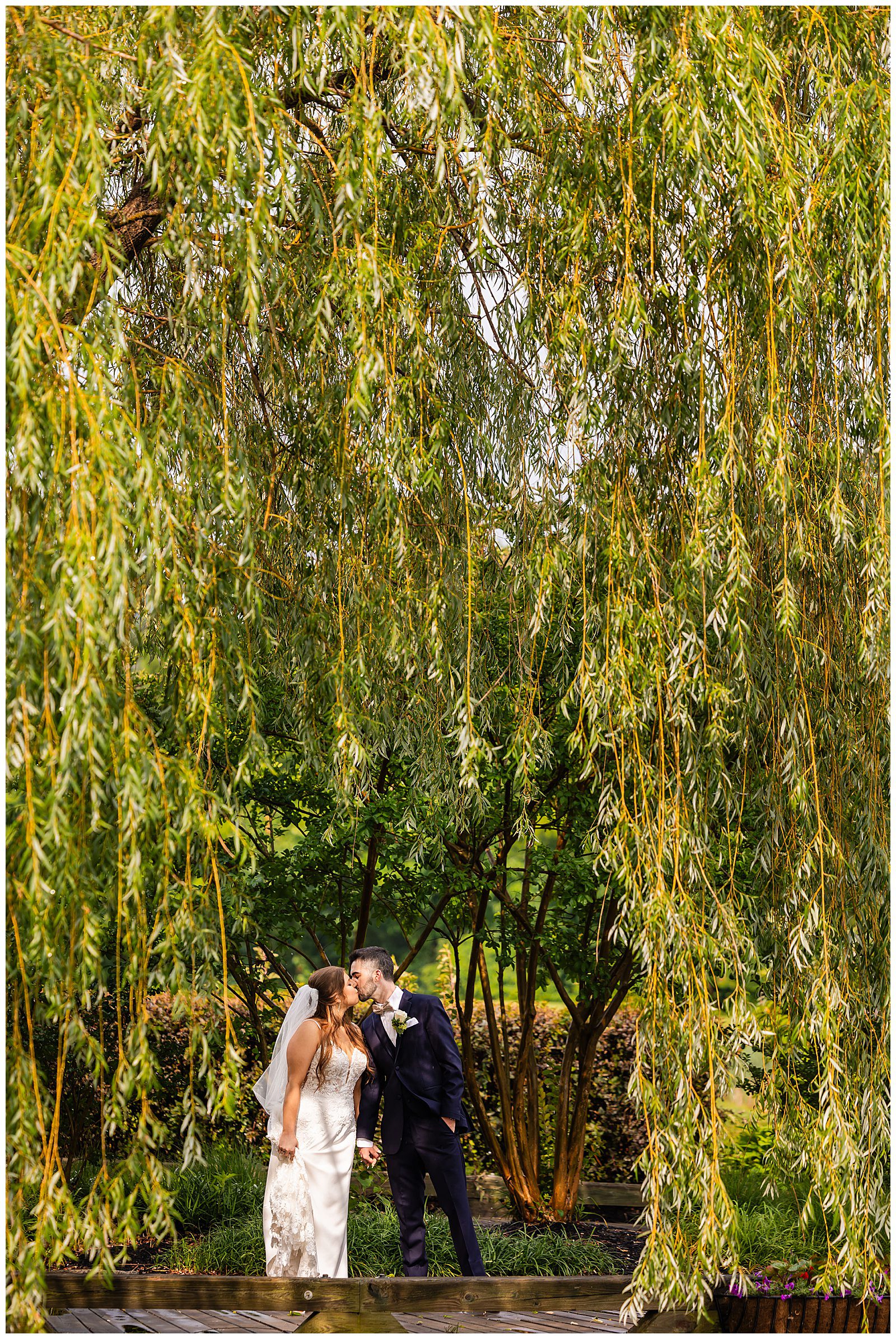Bride and groom hold hands and kiss under willow tree at Talamore Country Club | Ashley Gerrity Photography